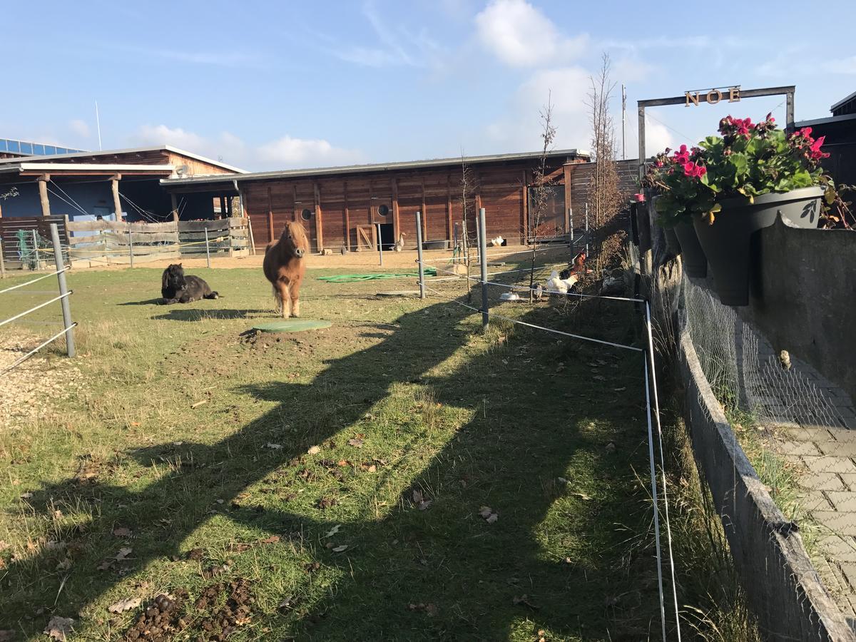 Affittacamere Farma Noe Brezina  Esterno foto